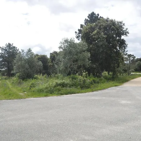 O Cantar Dos Passarinhos Fatima