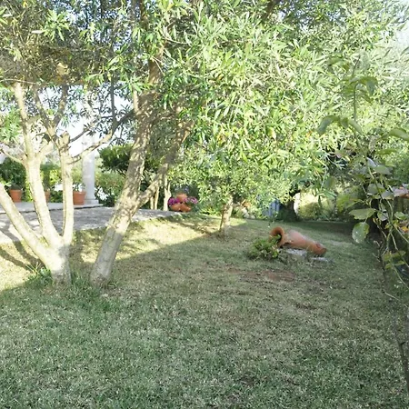 O Cantar Dos Passarinhos