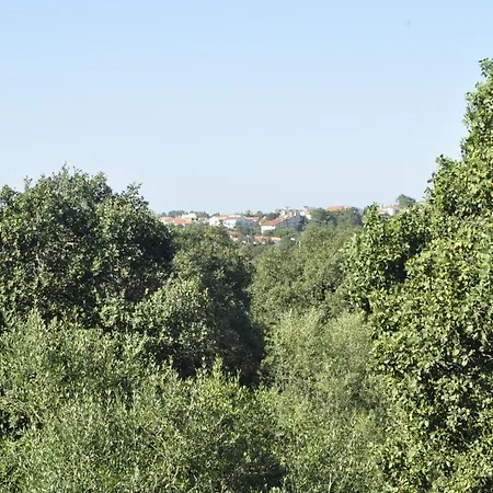 Homestay O Cantar Dos Passarinhos