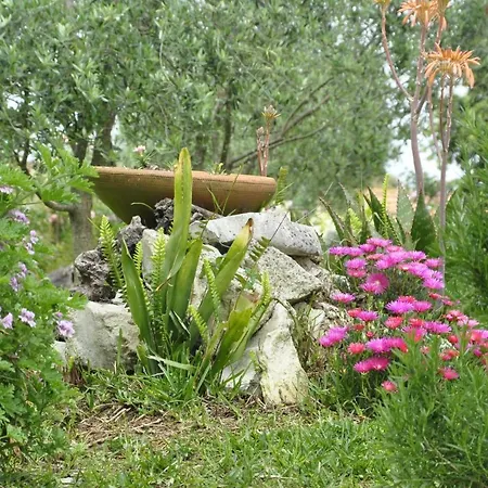 O Cantar Dos Passarinhos Homestay