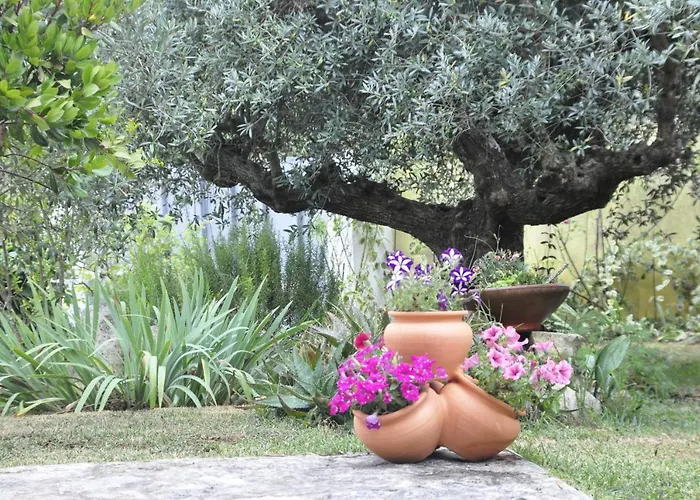 Homestay szállás O Cantar Dos Passarinhos