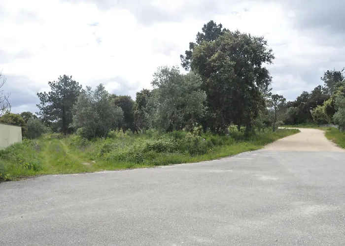 O Cantar Dos Passarinhos Fátima