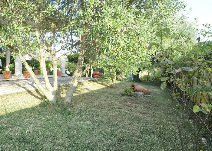 O Cantar Dos Passarinhos