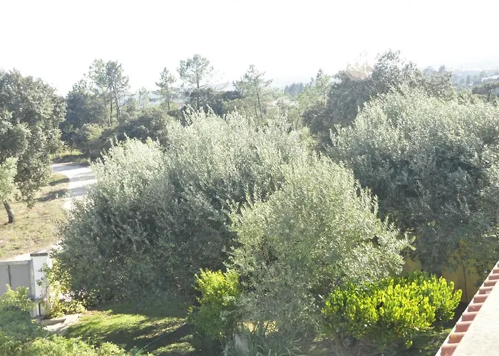 Quarto em Acomodações Particulares O Cantar Dos Passarinhos