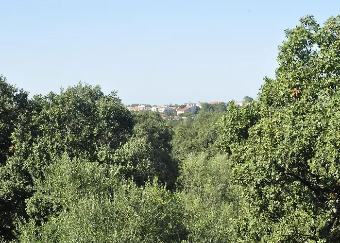 Quarto em Acomodações Particulares O Cantar Dos Passarinhos
