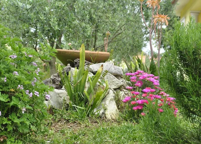 O Cantar Dos Passarinhos Homestay szállás